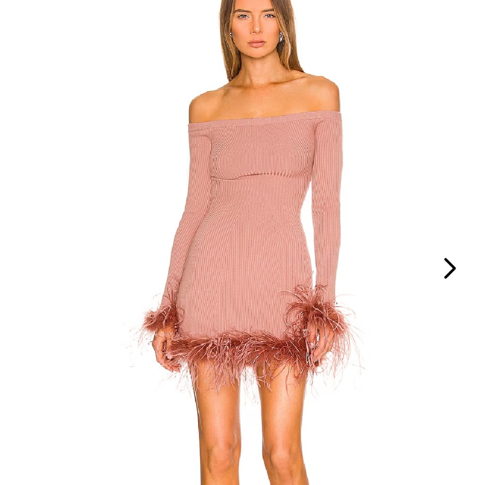 Lovers and Friends feather pink dress